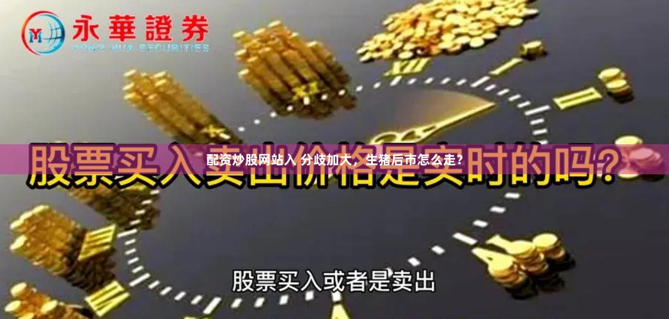 配资炒股网站入 分歧加大，生猪后市怎么走？