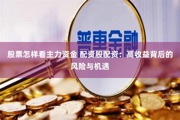 股票怎样看主力资金 配资股配资：高收益背后的风险与机遇
