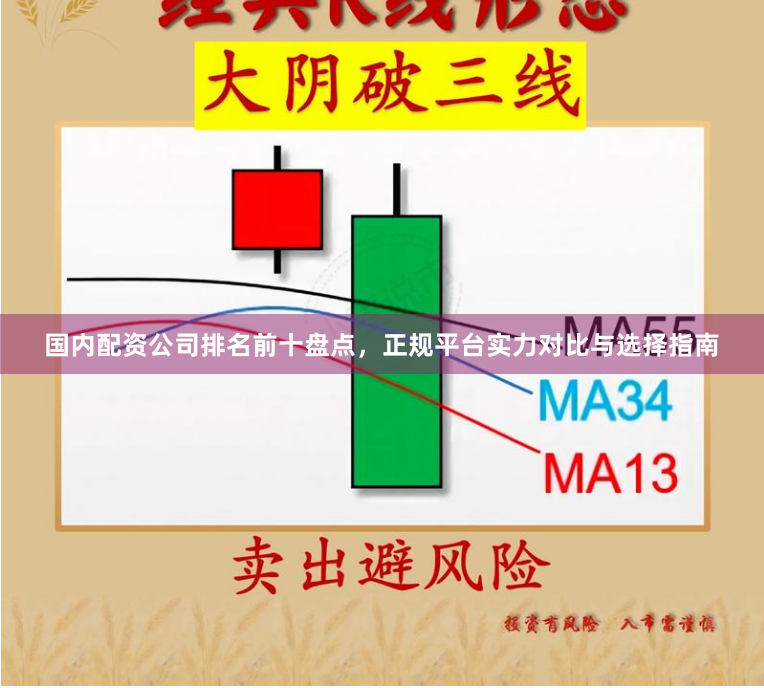国内配资公司排名前十盘点，正规平台实力对比与选择指南