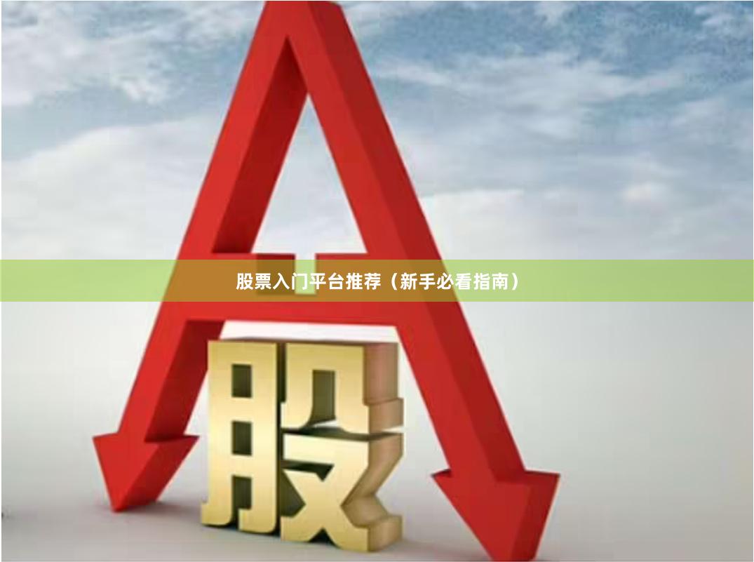 股票入门平台推荐（新手必看指南）
